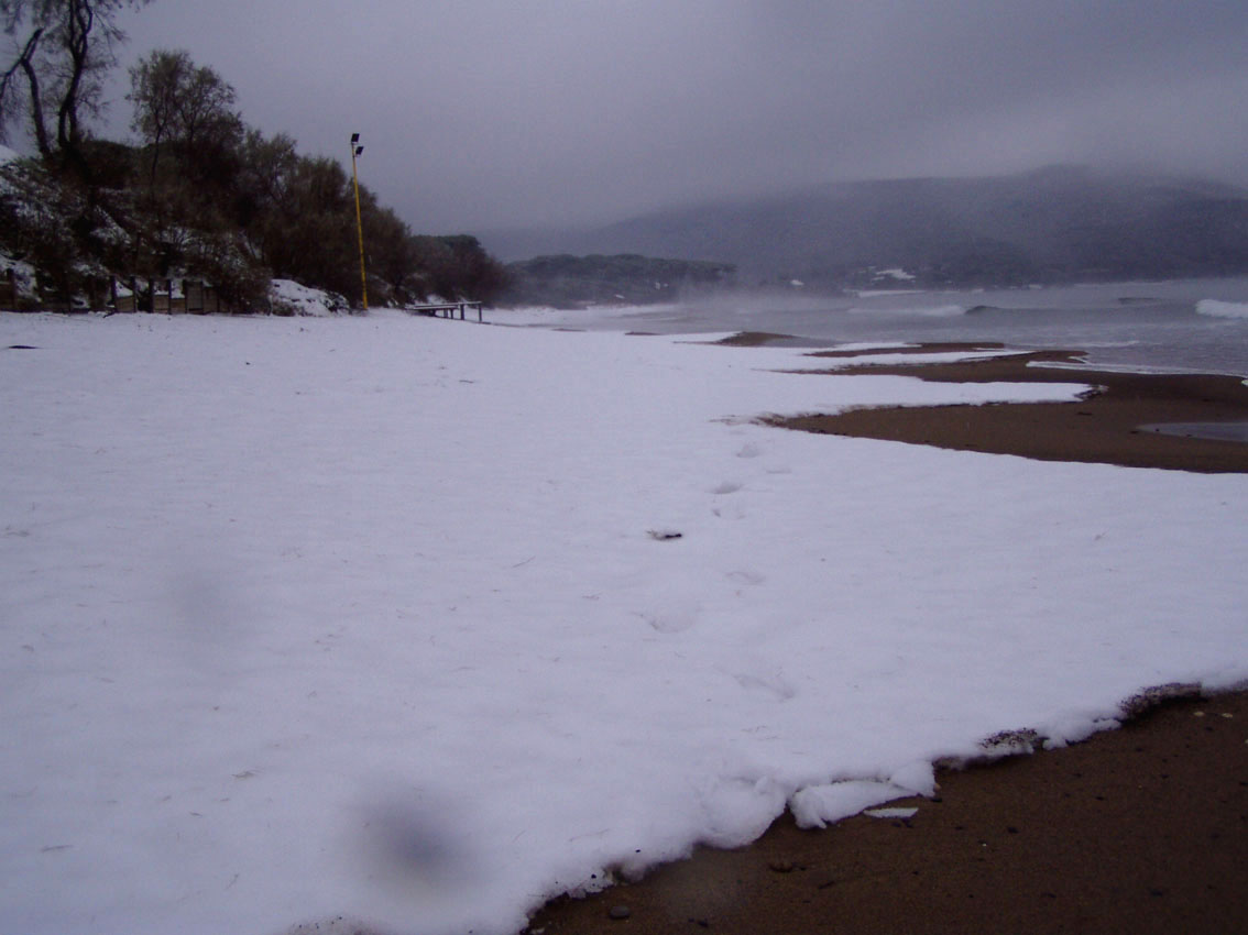 I fossi e lo stagno di Baratti (Piombino - LI)